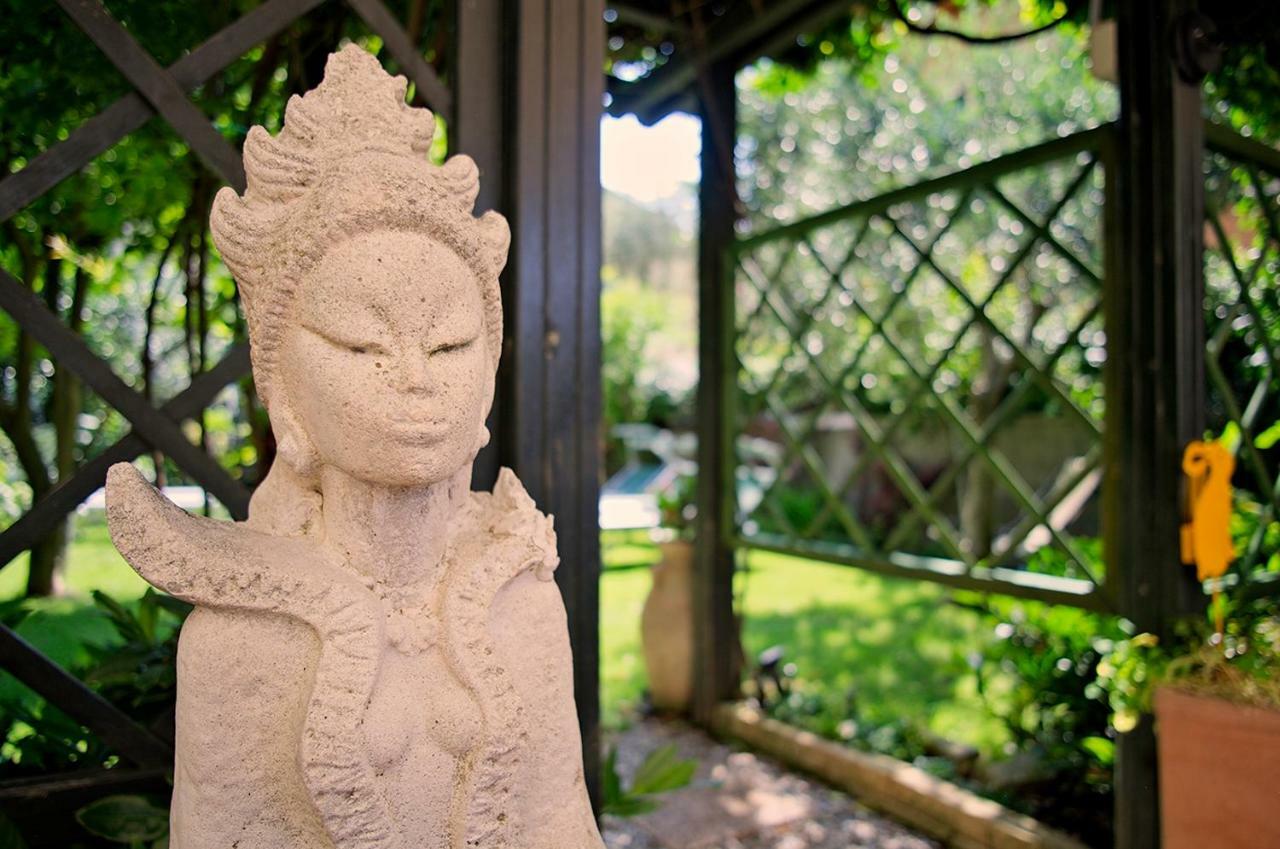Hotel Erika マルチェージネ エクステリア 写真